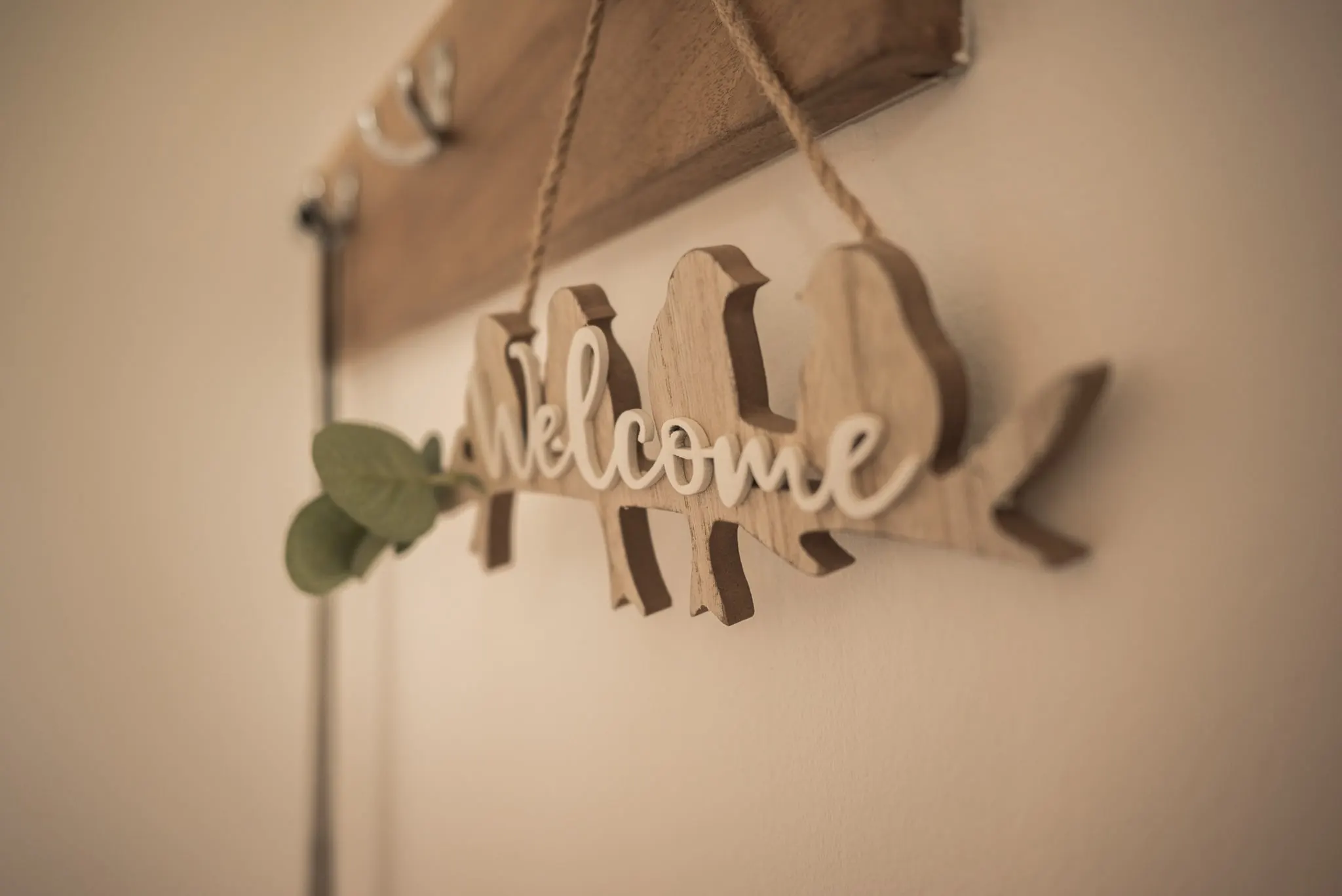 Felakasztott, fából készült „Welcome” felirat eukaliptuszágakkal